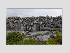 Ireland Dry Stone Wall Premium Giclee Print 11″ x 17″ Irish Wall Art