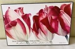 P. Graham Dunn Everlasting To Everlasting… Wall Art 12 X 18”
