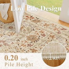 DUKINO 4×6 Rugs for Living Room, Lightweight Non Slip Washable Rug with Low P…