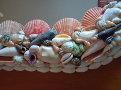Oval Shell Framed Accent Mirror Multicolor Beach Style Wall Decor 13″x 19″