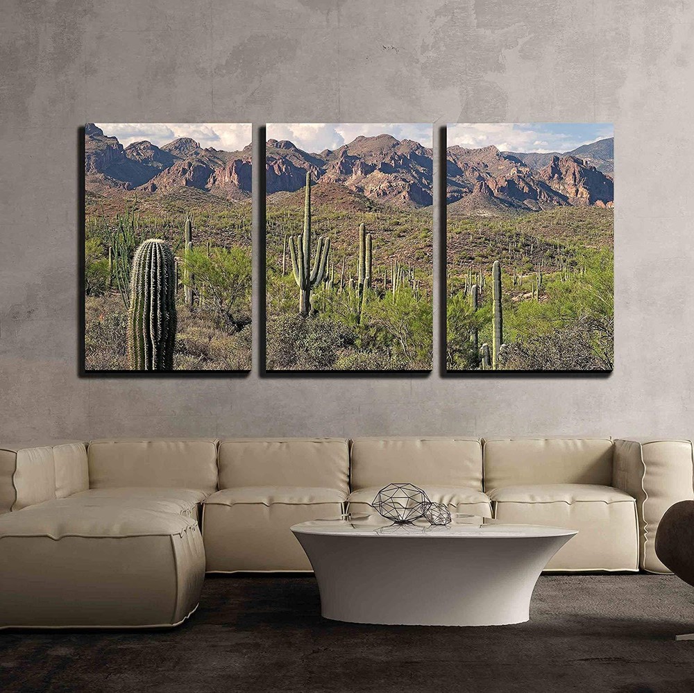 Wall26 – Saguaros in Sonoran Desert – Canvas Art Wall Decor – 24″x36″x 3 Panels