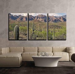 Wall26 – Saguaros in Sonoran Desert – Canvas Art Wall Decor – 24″x36″x 3 Panels