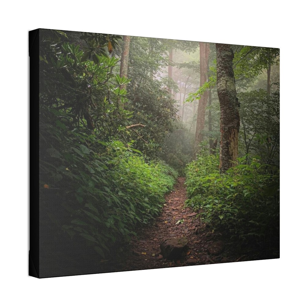 Polyester Canvas