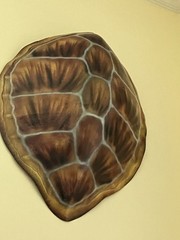 Green Turtle Shell Half Mount Replica 29 X 24 X 6 X-Large It’s Great