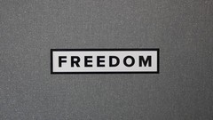 FREEDOM Sticker (choose one)