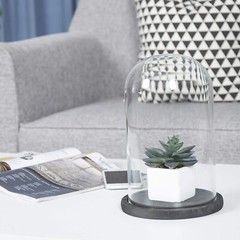 6 x 10 Inches Clear Glass Cloche Bell Jar Display Case w/ Rustic Black Wood Base