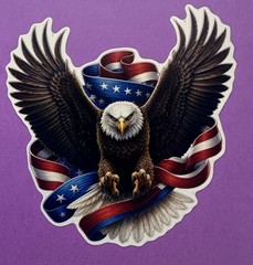 3 Inc Patriotic Bald Eagle Sticker USA Flag Ribbon American Freedom Vinyl Decal