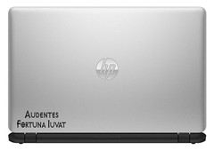 Audentes Fortuna Iuvat Vinyl Sticker/Decal Latin Saying Fortune Favors The Bold