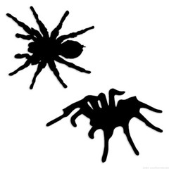 Tarantulas Spiders – Decal Sticker – Multiple Colors & Sizes – ebn6801