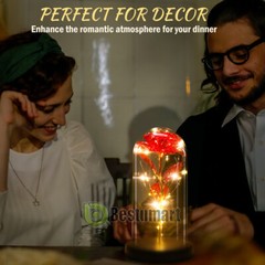Gifts for Wife Women Wife Gifts for Her Christmas Girlfriend Gifts Birthday Gift