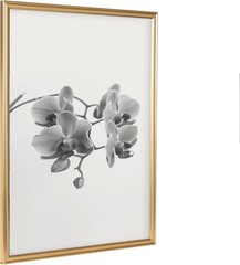 Gold Poster Frame 20×26 Gallery Wall Photo Frame for Art or Movie Posters