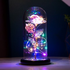 LED Rose Gifts for Women Flowers Rose in Glass Dome Birthday Valentines Day Gift