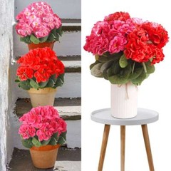 1-3X Artificial Geraniums UV Resistant Silk Flower Outdoor Garden Porch Vase Red