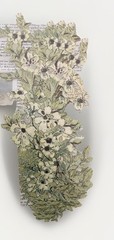 Wallies Border Cutouts – Dogwood Branch – 15 Pieces – Prepasted Floral Decals