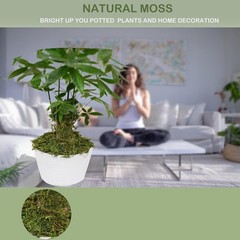 Fake Moss Artificial Moss for Potted Plants Greenery Moss(4OZ) Home Decor Fairy