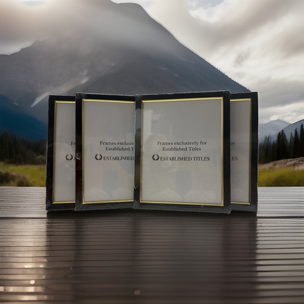 4 Pack-8.5×11 Photo, Document, Certificate Frame /Wall /Table-Black/Gold-w/Glass