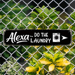Humorous Alexa Do The Laundry Metal Sign Laundry Room Decor Funny Home Wall Art