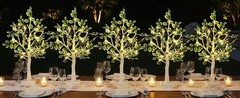 24 LED Artificial Tree Lamp, Lighted Trees for Indoor Decor USB/Battery Powered