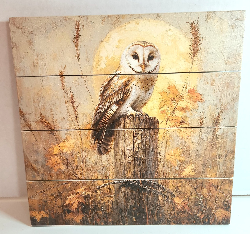 Rustic Pallet Art » Owl In Fall Time » Made in Lancaster Pa Amish Country NEW