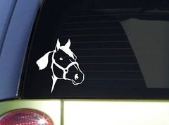 Quarter Horse sticker *I843* 6 inch Sticker horse decal ˜