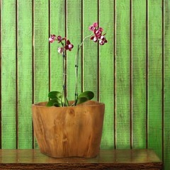 Teak Fruit Bowl Reclaimed Teak 8.3» Tall Solid Teak Root Bowl Home Decor
