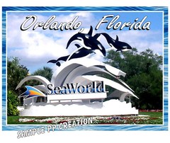 SEAWORLD ORLANDO PHOTO FRIDGE MAGNET 4 X 3 inches TRAVEL