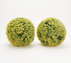 Wicker Park Set of (2) 11″ Faux Flower Indoor/ Outdoor Garden Spheres