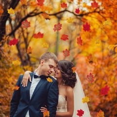 Artificial Maple Leaves Fall Decorations 1100pcs Multicolored for Weddings Pa…