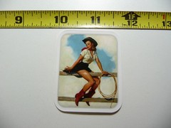 SEXY COWGIRL ON FENCE SMALL STICKER DECAL COUNTRY SOUTHWEST RODEO RANCH