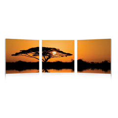 Savannah Sunset Unframed Photography Wall Art 20 In. X 20 In