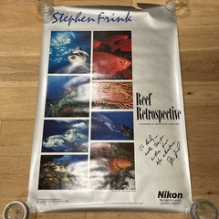 Signed Stephen Frink Underwater Nikon Photography Poster 1990 Vintage 36″ x 24″