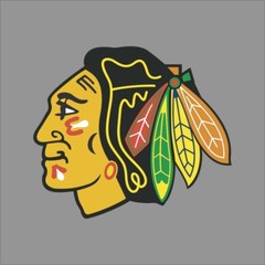 Chicago Blackhawks NHL Team Pro Sports Vinyl Sticker Decal Car Window Wall