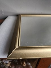 Vintage Gold Acrylic Framed Wall Mirror Accent Mirror • 22½»×18½»