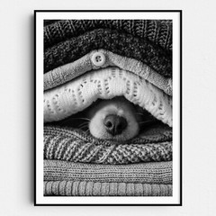 Noses Only Dog Hiding Between Sweaters Dogs Animals Wall Art Poster Print