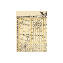 Historic County Map – Champaign County Illinois – Warner 1876 – Vintage Wall Art