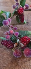 Raspberry Sugared Berries Candle Ring Christmas Holiday Winter Leaves