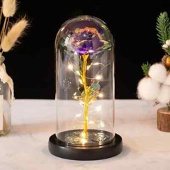 Eternal Forever Rose Flower In Glass Dome LED Light