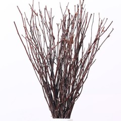 20 PCS Real Dried Birch Twigs 17 Inch Natural Decorative Branches Vase Craft