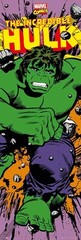 Poster Studio B – Marvel Classic Comic Incredible Hulk Door Size 21×62″ NEW