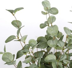 Versatile 6 Pcs Eucalyptus Leaf Spray – Adjustable Length for Stunning Displays