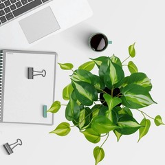 Mainstays Artificial Pothos in White Bubble Ceramic Vase 9-Inch Tabletop Decor