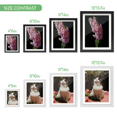4×6 8×10 11×14 12×16 Wood Photo Frame Set Wall Mount Tabletop Poster Display US