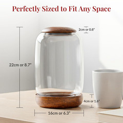Exclusive Glass Terrarium, Beautifully Enhanced by a Natural Wood Lid and Base.