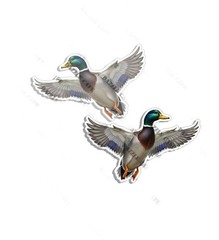 Mallard Bird Vinyl Duck Wildlife Sticker Decal Wall Hunting 2 PACK