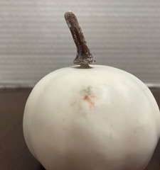 Artificial Pumpkins Assorted Sizes Rustic Harvest White Fall Decor Halloween
