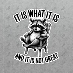 Humorous Raccoon Sign It Is What It Is Cartoon Art Funny Wall Decor #7627
