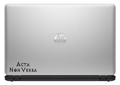 Acta Non Verba Custom Vinyl Sticker / Decal – Latin Saying Deeds Not Words