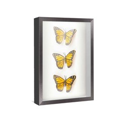 12×20 Shadow Box Frame Black | 1 Inches Deep Real Wood Farmhouse Shadowbox Displ