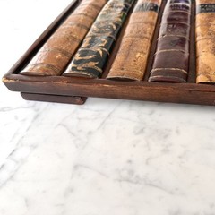 Theodore Alexander Solid Wood Faux Book Display Panel Traditional Decor 13.75″