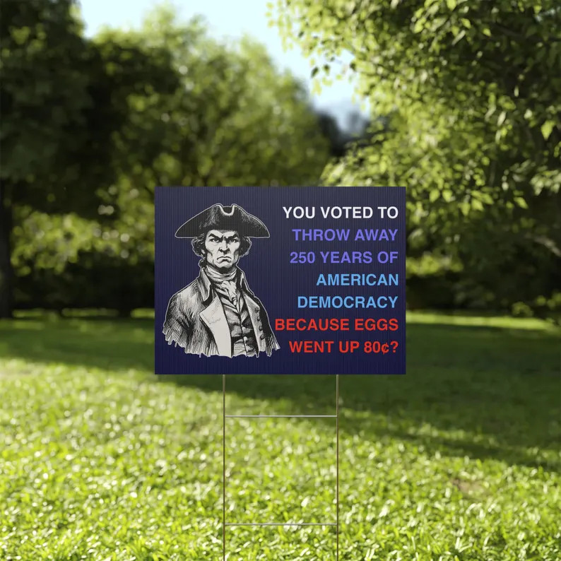 You Voted To Throw Away Democracy Yard Sign Political Statement